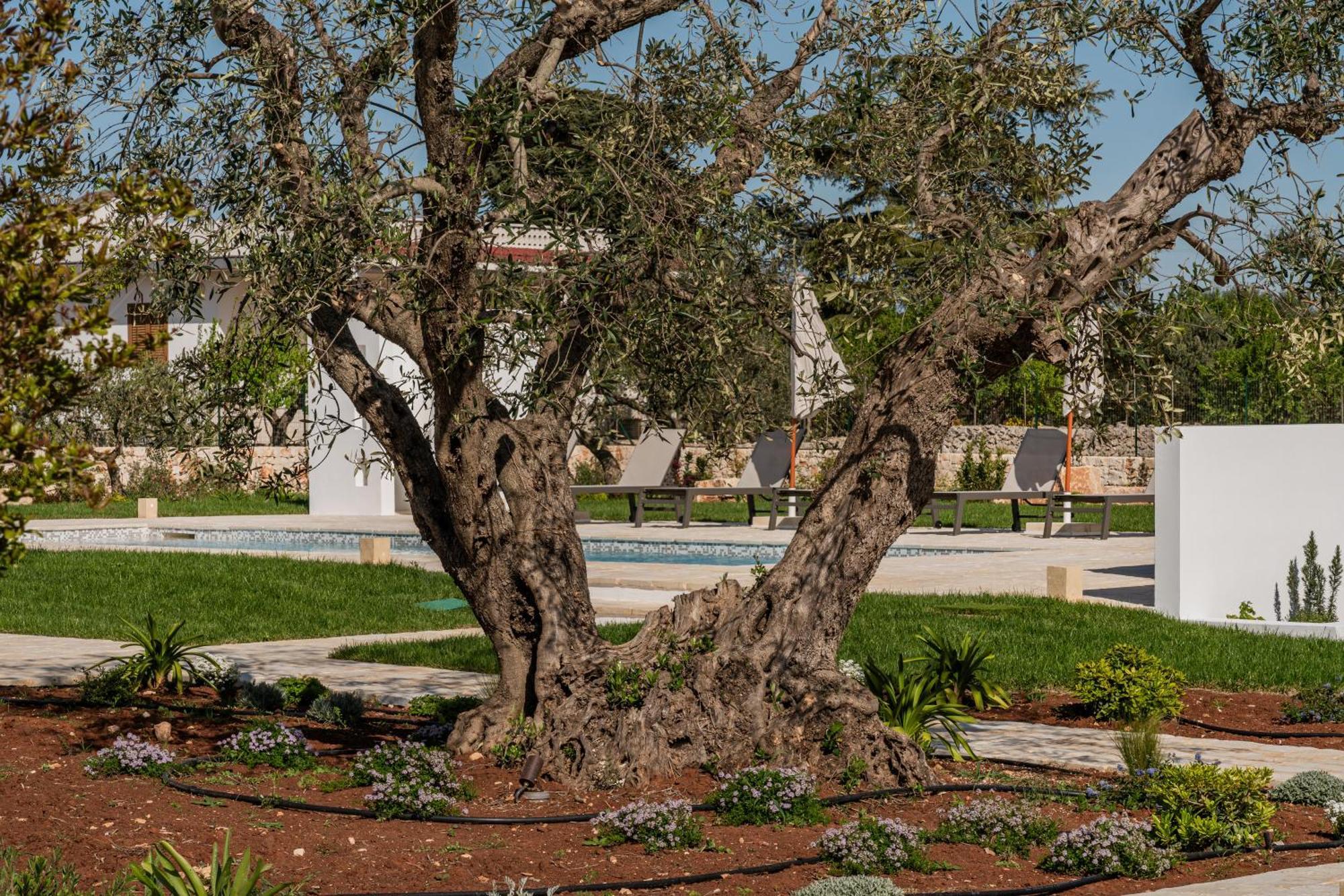 Trullo Jale - Boutique Apartments Ostuni Exterior foto